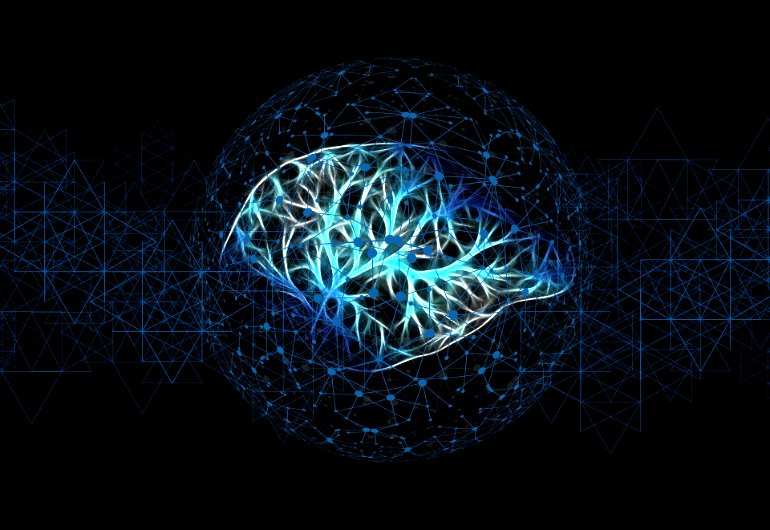 brain-nice image