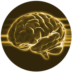 golden_brain